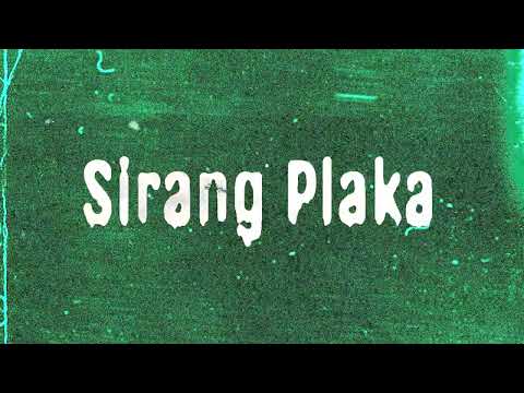 CK YG - Sirang Plaka  (Visualizer)