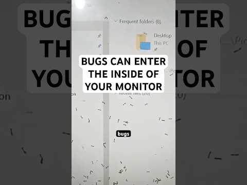 Bugs can enter your monitor easily