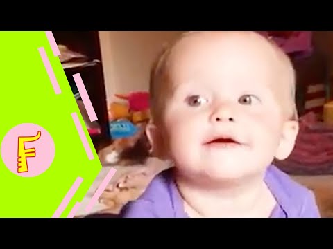 Funniest Baby Siblings Fight Over - Fun and Cute