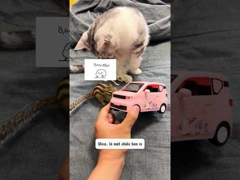 Chú Sóc con có xe mới cực ngầu