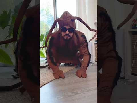The Giant Roach!