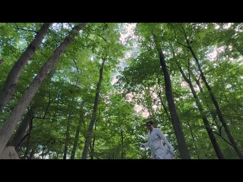 YouTube video thumbnail: Surge of Ticks in US Northeast Sets off Health Concerns