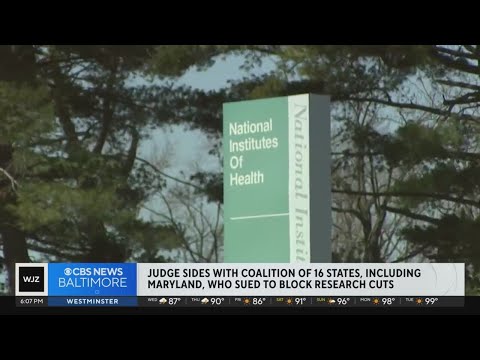 YouTube video thumbnail: Judge Sides With Coalition of 16 States, Including Maryland, After Lawsuit to Block Cuts to Research