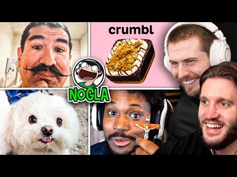 Terroriser & Nogla 2.0 React to Nogla's Memes!