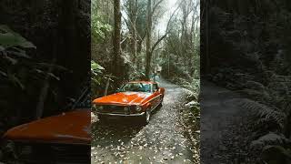 Serhat Durmus - La Câlin