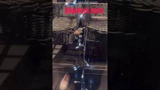 Mäuse in der Bäckerei 🐭😳  #koblenz #maus #bäckerei #weihnachtsbäckerei