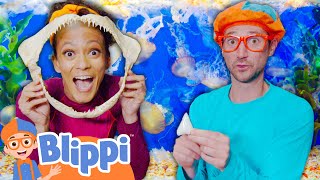 Blippi And Meekah Visit The OCEAN PLAYGROUND | Blippi and Meekah Best Friend Adventures