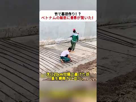 竹で基礎作り！？ ベトナムの知恵に世界が驚いた！ #ベトナム建築 #竹の力 #基礎工事 #伝統技術 #サステナブル建築