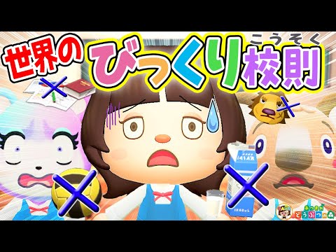 【あつ森】世界のヤバすぎる校則🌎日本では理解できない海外のちょっと変わった校則【あつまれどうぶつの森】