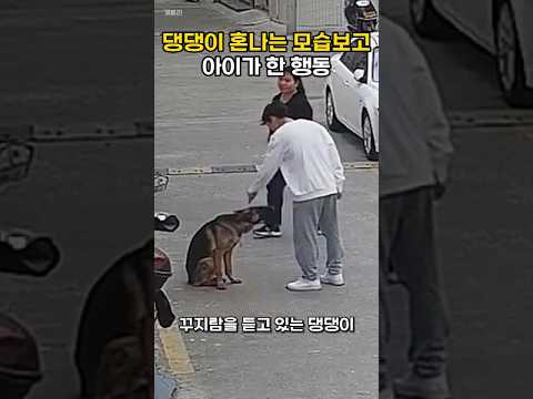 주인에게 혼나는 개를 보고 아이가 한 행동