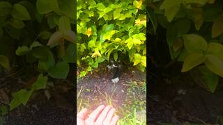 Tiny cries for help caught the right person’s attention 🥺