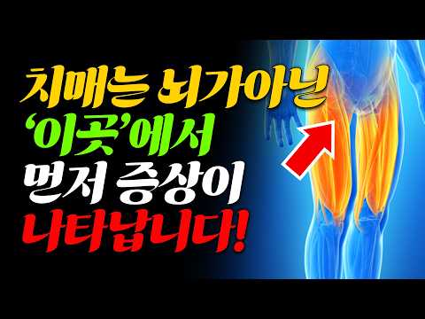 치매는 뇌가 아니라 '이곳'에서 먼저 신호가 옵니다.