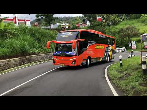 Telolet Basuri Sedya Mulya JetBus 5