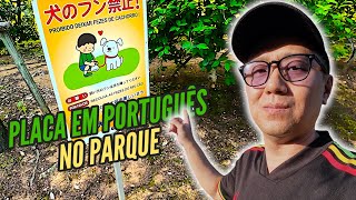 VLOG RAIZ - Fui no MERCADO BRASILEIRO & NOVO parque com FONTE DE ÁGUA em Ogaki | NA FOLGA 599