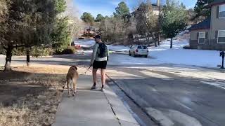 Hiking in the Rocky Mountains #shorts