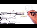 Cardiovascular Physiology Concepts