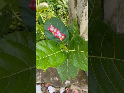 Permen hello kitty #diy #kreatif #viral #art #craft