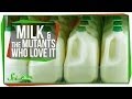 Understanding Lactase Persistence and Milk Consumption
