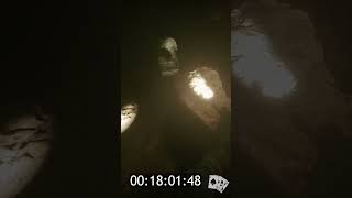 Fight Alone Die Alone #readyornot