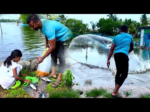 മഴ പെയ്താലും പെയ്തില്ലേലും വെള്ളത്തിനു ഇവിടെ ഒരു കുറവുമില്ല. .മീനിനും. ..village fishing