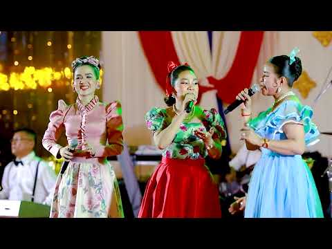 ឱភ្នំពេញអើយ-វាសនាបាត់ដំបង-ប្រសាទប្រក់ស្លឹក-ចង់កើតជាផ្កា | តន្ត្រី ចេវ  Music Band
