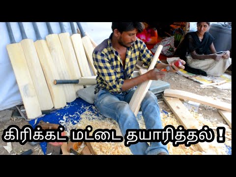 MAKING OF CRICKET BAT|| INDIAN CRICKET TEAM BAT|| MSD BAT | Tamil Tech Central