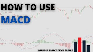 How to use the MACD indicator | Minipip Tutorials