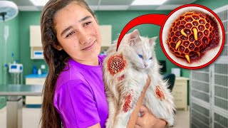 There's Something VERY WRONG With Our KITTEN!! *Emotional*