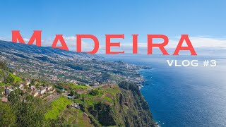 Wo aus ZUCKERROHR "KUCHEN" wird | Madeira VLOG #3