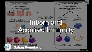 Inborn and Acquired Immunity