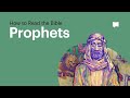 Understanding the Prophets