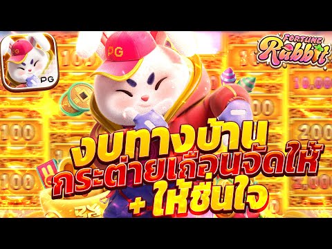 สล็อตกระต่าย fortune rabbit ต่ายโดดpg เกมต่ายโดดพีจี สล็อตกระต่ายล่าสุด วันนี้ 2024