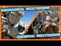 Weathering Processes and Their Effects