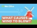 Air Movement and Temperature Effects
