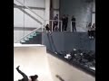 Cuestionario sobre Disco Roller