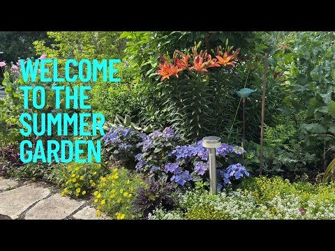 A mid-summer stroll through the garden