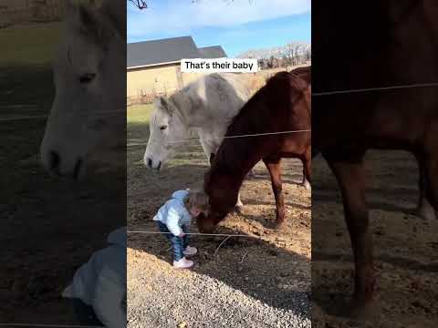 Baby Love?#shorts #shortsvideo #subscribe ?