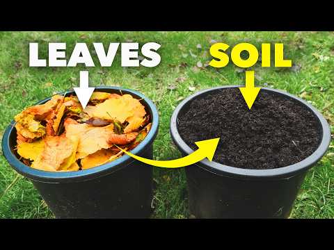 The Clever Way Smart Gardeners Make Amazing Soil