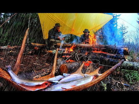 Camping in the Heavy Rain | Wild Trout Fishing Catch & Cook on the Campfire ASMR