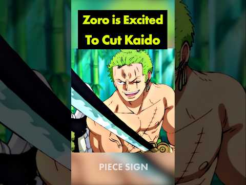 The legendary sword Zoro couldn't refuse