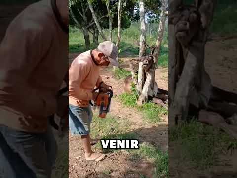 como pudo pasar esto en una emergencia
