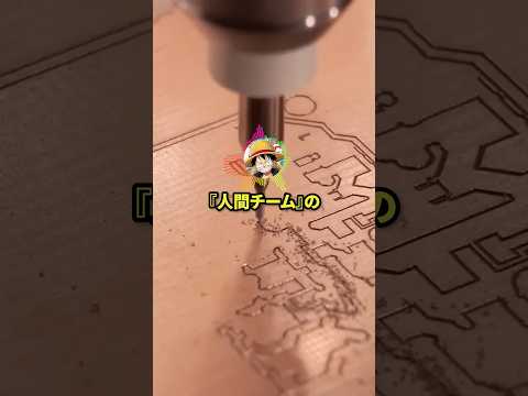 ルフィ「ジンベエ『人間チーム』の晩飯終わったぞ」ジンベエ「ああ……」