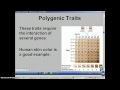 Genetics and Environmental Influences