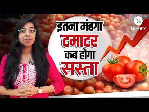 Tomato Price Hike: आसमान छू रहे टमाटर के रेट, क्या है दाम बढ़ने की वजह? | Inflation | Monsoon