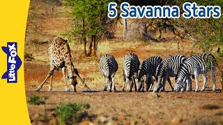 Five Savanna Stars: Lion, Giraffe, Zebra, Hyena & Ostrich Adventure! | Little Fox
