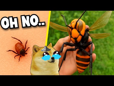Los 10 Insectos más Peligrosos del Mundo - Juegos con cheems