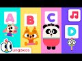 Video Tutorial Quiz