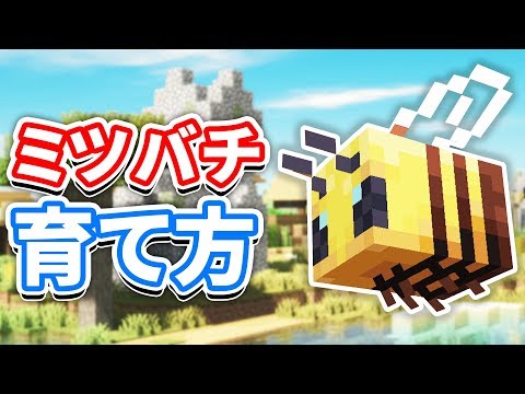 【マイクラ1.15】ミツバチ/蜜蜂(Bee)の生態・繁殖方法・スポーン場所・捕獲方法を詳しく解説！(養蜂箱の作り方・蜂蜜・蜂の巣)【マインクラフト1.15】Snapshot 19w34a
