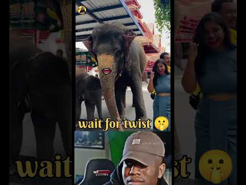 Wait for twist 🤫 part-110 #reels #comments #memes