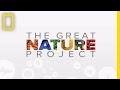 Great Nature Project Engagement
